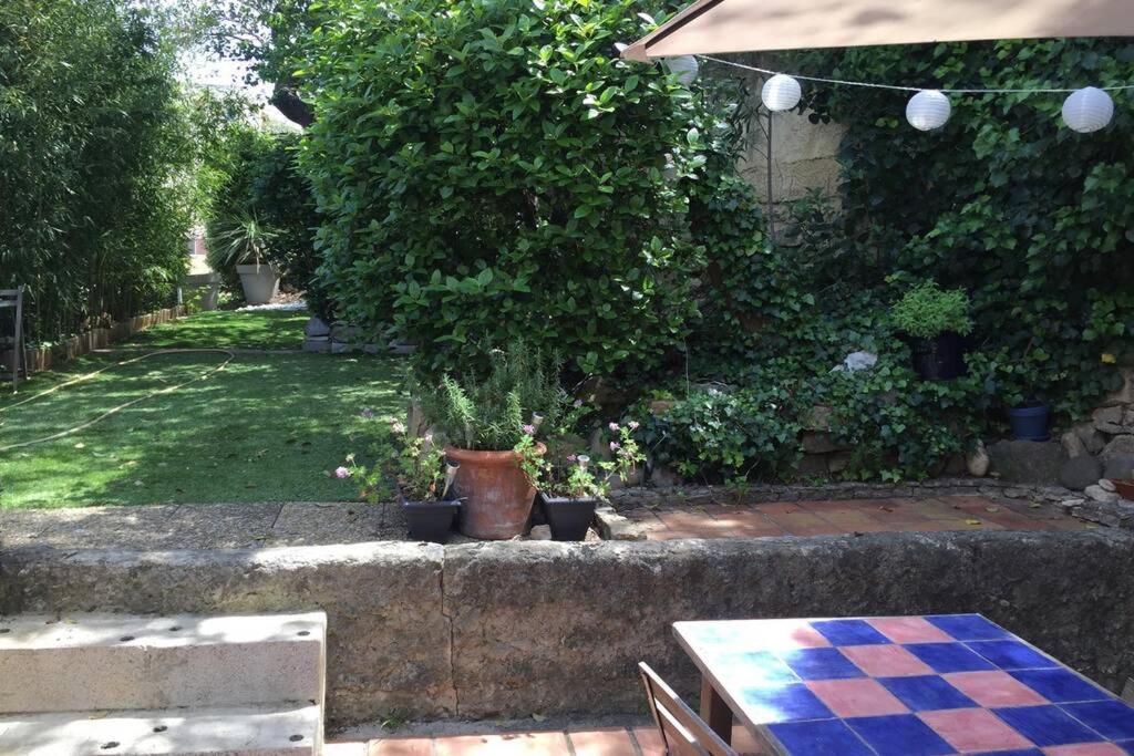 La Cassirene - Maisonnette Centre Cassis - Jardin 外观 照片